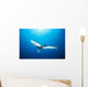 California, Blue Shark Clear Blue Water, Sunburst Wall Mural