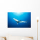 California, Blue Shark Clear Blue Water, Sunburst Wall Mural