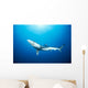 California, Blue Shark Clear Blue Water, Sunburst Wall Mural