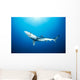 California, Blue Shark Clear Blue Water, Sunburst Wall Mural