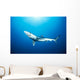 California, Blue Shark Clear Blue Water, Sunburst Wall Mural