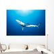 California, Blue Shark Clear Blue Water, Sunburst Wall Mural