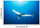 California, Blue Shark Clear Blue Water, Sunburst Wall Mural