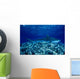 Hawaii, Close-Up Of Tiger Shark Shallow Reef Wall Mural