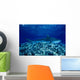 Hawaii, Close-Up Of Tiger Shark Shallow Reef Wall Mural