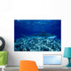 Hawaii, Close-Up Of Tiger Shark Shallow Reef Wall Mural