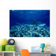 Hawaii, Close-Up Of Tiger Shark Shallow Reef Wall Mural