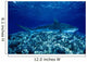 Hawaii, Close-Up Of Tiger Shark Shallow Reef Wall Mural
