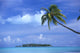 Island Background Wall Mural