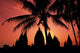 View Of Palm Trees And Buildings Silhouetted At Sunset Wall Mural