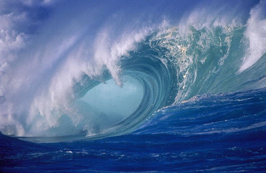 Wave Curling Through Curl Wall Mural