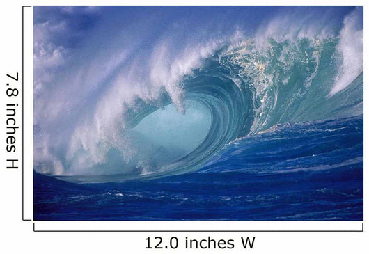 Wave Curling Through Curl Wall Mural