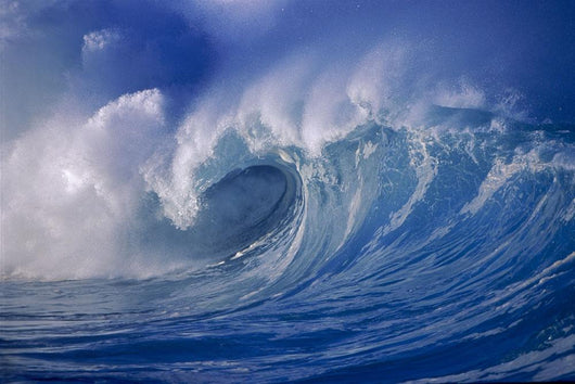 Powerful Winter Surf, Wave Crashing, Curling Close-Up Wall Mural