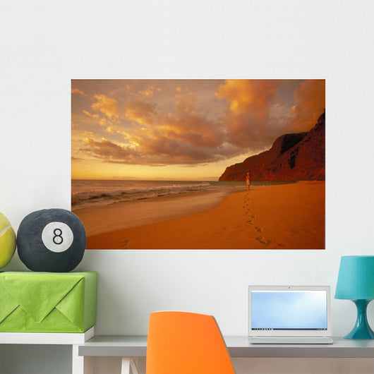 Woman Walk Shoreline Footprints Puffy Clouds Wall Mural