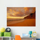 Woman Walk Shoreline Footprints Puffy Clouds Wall Mural