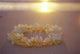Sunset, Yellow Plumeria Lei Shoreline Beach Wall Mural