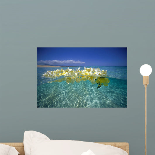 Over/Under Plumeria Lei Floating Ocean Surface Wall Mural
