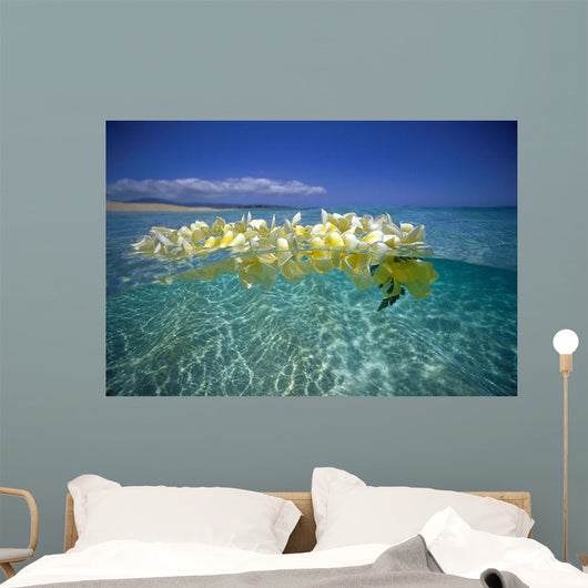 Over/Under Plumeria Lei Floating Ocean Surface Wall Mural