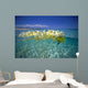 Over/Under Plumeria Lei Floating Ocean Surface Wall Mural