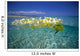 Over/Under Plumeria Lei Floating Ocean Surface Wall Mural