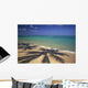 Beach Shoreline With Palm Tree Shadows, Calm Turquoise Ocean Horizon Wall Mural