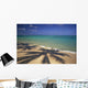 Beach Shoreline With Palm Tree Shadows, Calm Turquoise Ocean Horizon Wall Mural