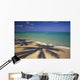 Beach Shoreline With Palm Tree Shadows, Calm Turquoise Ocean Horizon Wall Mural