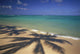 Beach Shoreline With Palm Tree Shadows, Calm Turquoise Ocean Horizon Wall Mural
