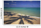 Beach Shoreline With Palm Tree Shadows, Calm Turquoise Ocean Horizon Wall Mural