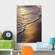 Foamy Detail Receding Wall Mural