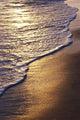 Foamy Detail Receding Wall Mural