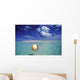 Calm Ocean With Beach Ball Foreground Wall Mural