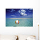Calm Ocean With Beach Ball Foreground Wall Mural