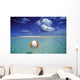 Calm Ocean With Beach Ball Foreground Wall Mural