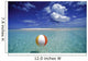 Calm Ocean With Beach Ball Foreground Wall Mural