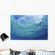 Underwater Ocean Looking Upward To Surface, Blue Sky Reflection Wall Mural