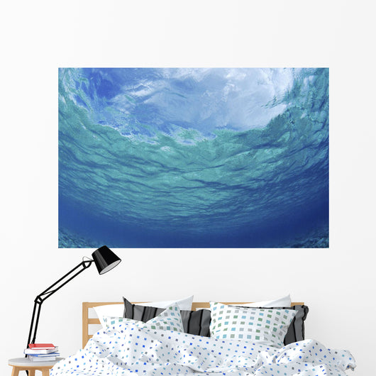 Underwater Ocean Looking Upward To Surface, Blue Sky Reflection Wall Mural