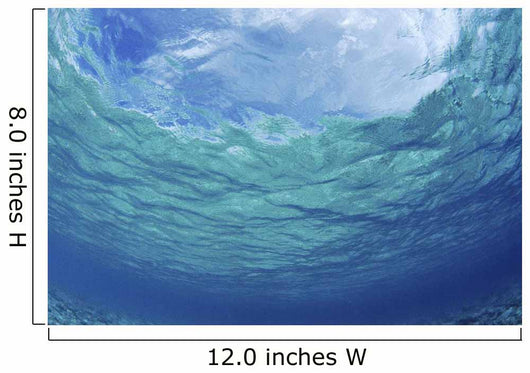 Underwater Ocean Looking Upward To Surface, Blue Sky Reflection Wall Mural
