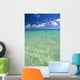 Calm Turquoise Ocean With Sandy Bottom Blue Sky And Clouds Wall Mural