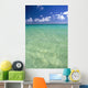 Calm Turquoise Ocean With Sandy Bottom Blue Sky And Clouds Wall Mural