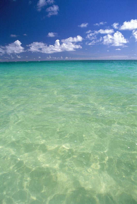 Calm Turquoise Ocean With Sandy Bottom Blue Sky And Clouds Wall Mural