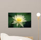 Close-Up Of One White Lily Blossom In Pond, Green Leaves Background Wall Mural