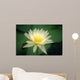 Close-Up Of One White Lily Blossom In Pond, Green Leaves Background Wall Mural