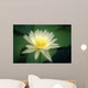 Close-Up Of One White Lily Blossom In Pond, Green Leaves Background Wall Mural