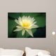 Close-Up Of One White Lily Blossom In Pond, Green Leaves Background Wall Mural