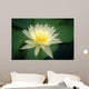 Close-Up Of One White Lily Blossom In Pond, Green Leaves Background Wall Mural