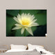 Close-Up Of One White Lily Blossom In Pond, Green Leaves Background Wall Mural