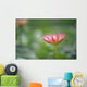 Close-Up Side View Pink Lily In Pond, Green Blurry Background Wall Mural