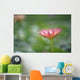 Close-Up Side View Pink Lily In Pond, Green Blurry Background Wall Mural
