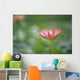 Close-Up Side View Pink Lily In Pond, Green Blurry Background Wall Mural